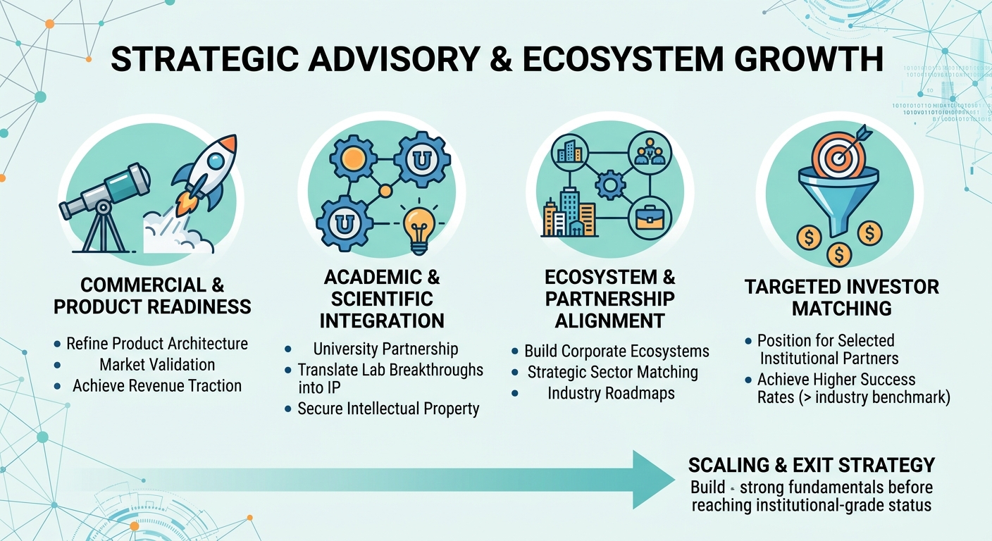 Strategic Advisory Beyond Traditional Venture Capital for Scale-Ups and Research Spin-Outs Turkmenistan